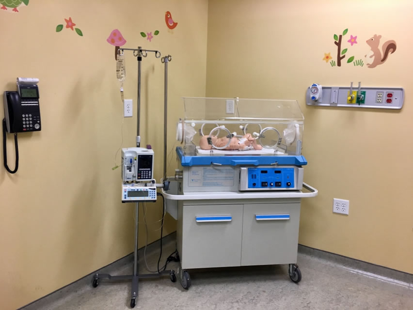 Richard A. Henson Medical Simulation Center Facilities | Salisbury