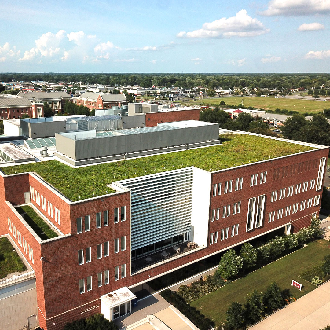 Patricia R. Guerrieri Academic Commons green roof